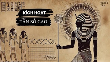 Sống Với TẦN SỐ CAO | Sức Mạnh Rung Động Năng Lượng
