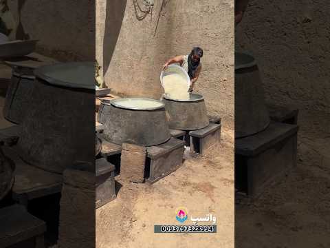 برنج ها آماده شده