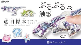 DIY transparent specimen soap：How to make & play【透明標本
