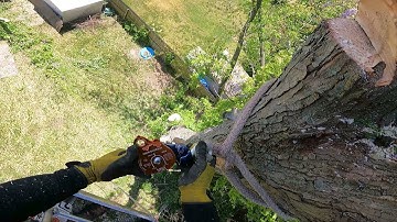 How to install 5ft whoopie sling RockExotica pulley #shorts