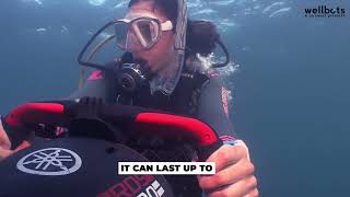 Wellbots- Discovering Yamaha Rds300 For Underwater Adventures