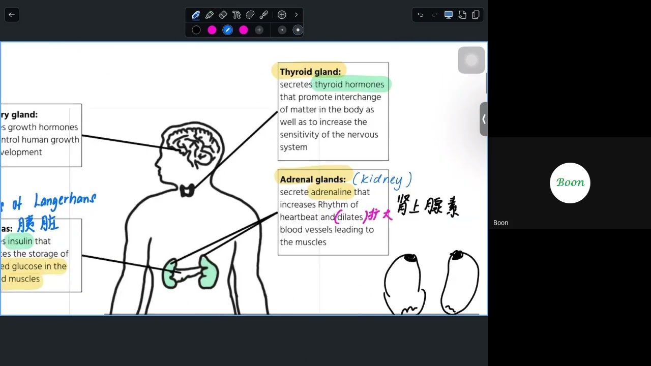 J2 Science 1st Final-Term Examination 2025 B1 Chapter 7, 8