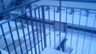 VIDEO0036.mp4