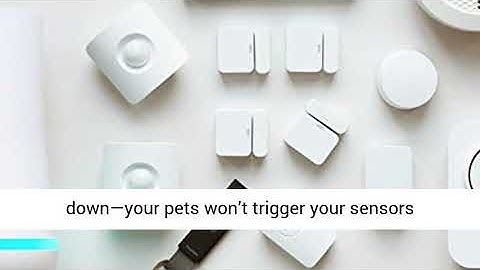 simplisafe motion detector pets