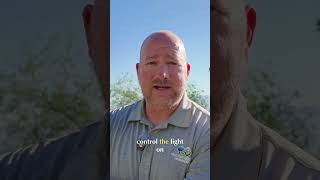 Master Portrait Photography: Flawless Sun Lighting Techniques! #shorts