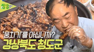 택시맛객들의 수다 : 청정 지역, 경상북도 청도 [2TV 생생정보] | KBS 230510 방송