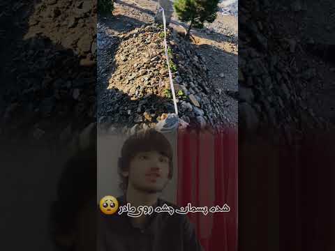 شعر محمد رفیع تیموری مادر بهار آمد نیامد بوی مادر Answer ترند 