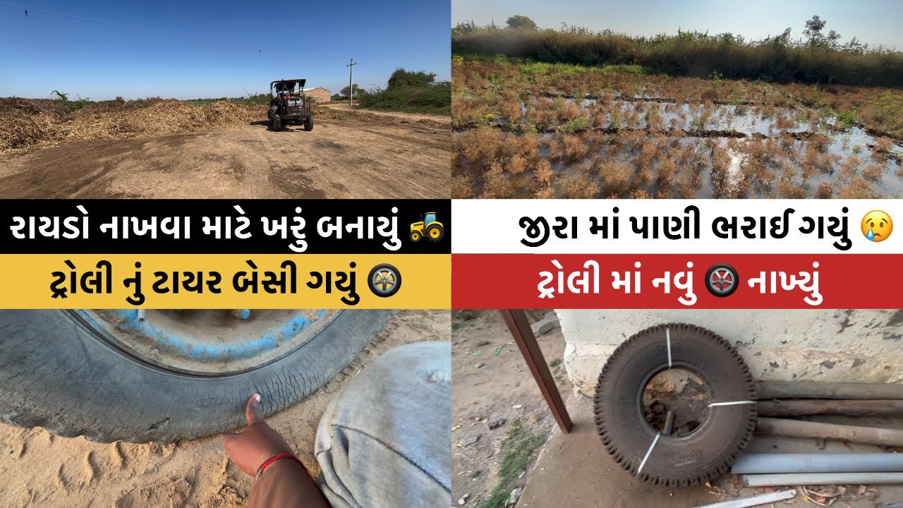 એરંડા માં પાઇપ લાઇટ તૂટી ગઈ 3️⃣ ખેતર ભરાઈ ગયા 😢🌾॥ #goswamifarmingvagad #viralvideo #gujju 