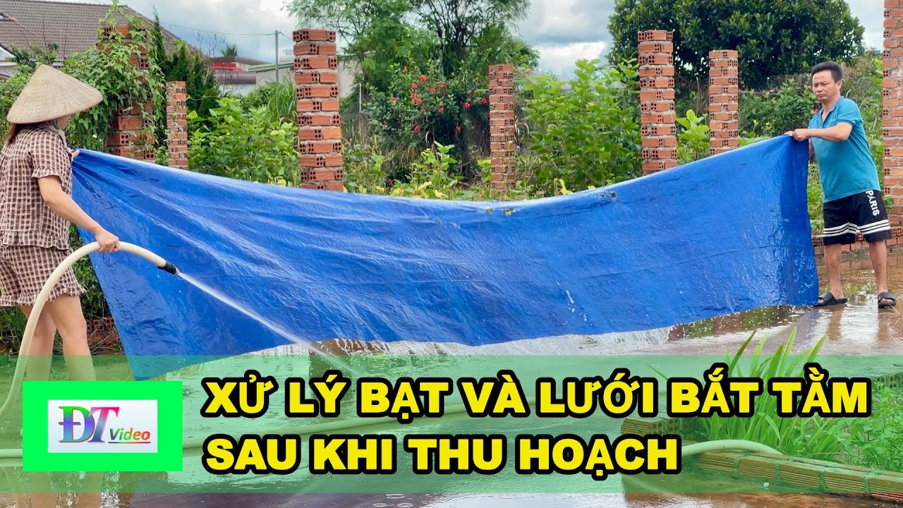 Xử lý bạt và lưới bắt tằm sau khi thu hoạch | Kinh nghiệm nuôi tằm hiệu quả – Đức Trọng Video