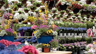 This Spring Planter Will Instantly Brighten Your Porch or Patio