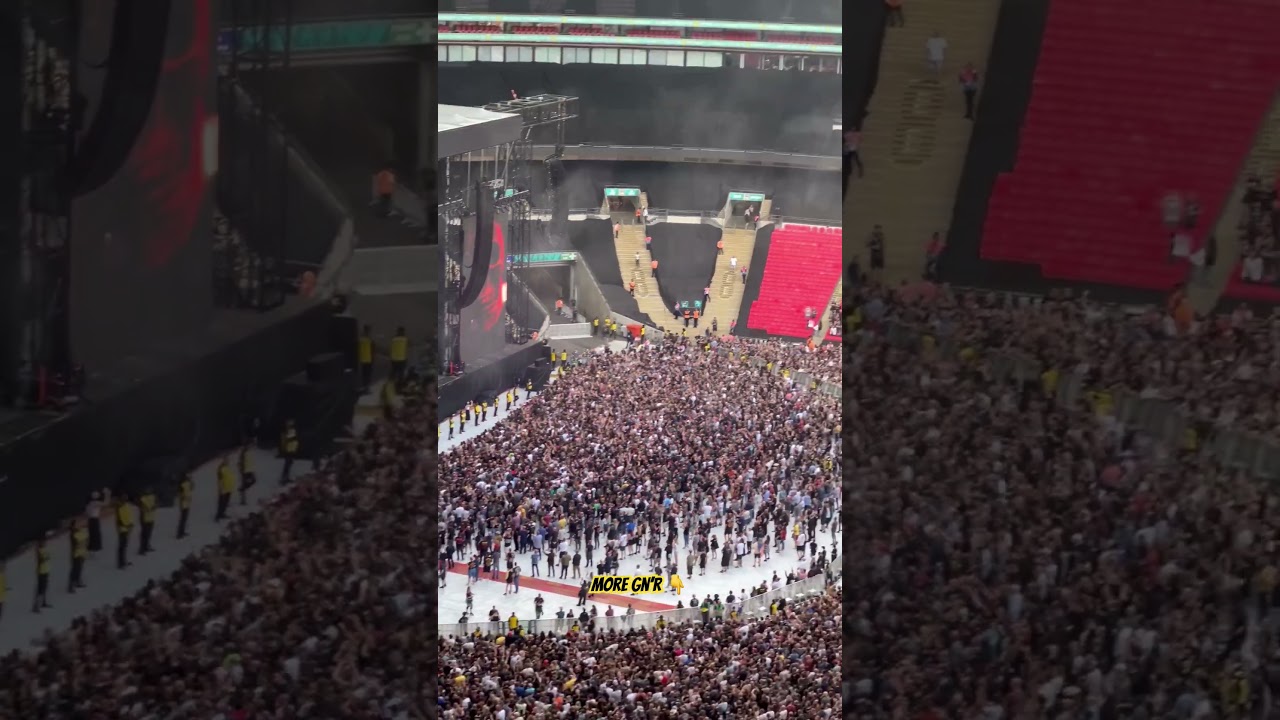 Crowd Reaction to 'It's So Easy' 