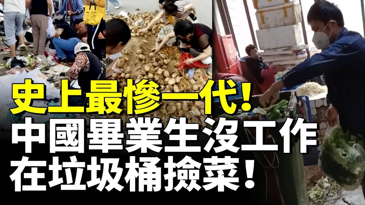 中國博士畢業生也找不到工作！史上最慘一代！畢業生在垃圾桶撿菜！　#看大陸 #睇大陸