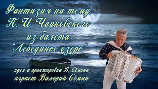 Фантазия на тему П. И. Чайковского из балета «Лебединое озеро» ❤️ Играет ВАЛЕРИЙ СЁМИН ❤️ Красиво!
