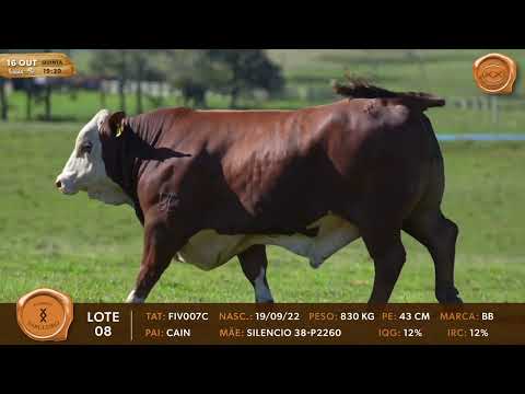 BRAFORD FIRMADO 16/10 - TABULEIRO LOTE08 FIV007C