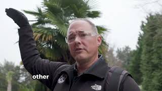 Perimeter Pest Control Your Home’s First Line of Defense