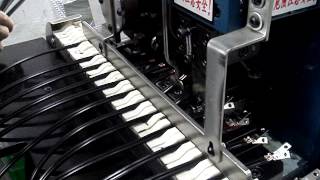 Full Automatic plug inserts crimping machine from BEVIEW LIMITED