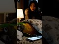 Smart Parrot Pretends to Sleep After Getting Caught on Phone 😂📱🦜 #shorts