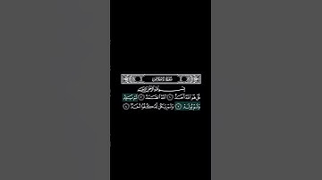 #سورة_الإخلاص #قران_كريم #قرآن #اسلام #اسلاميات