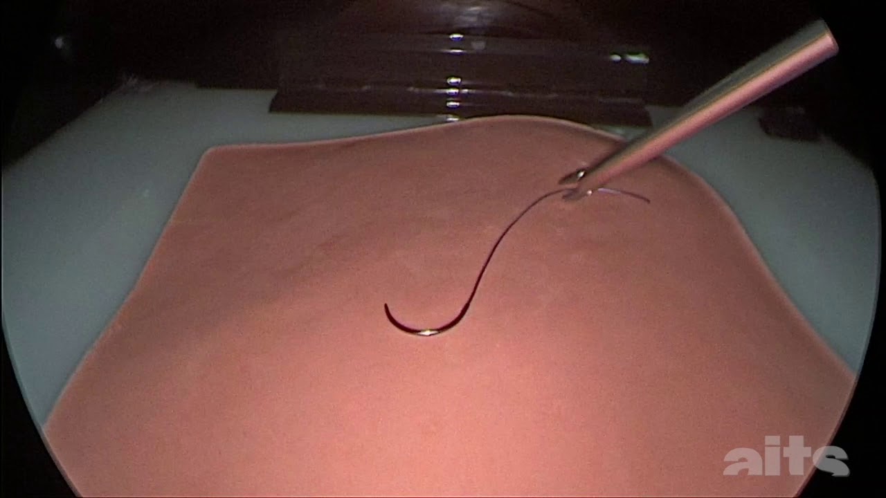 01-Pick up needles, forehand, backhand, left hand