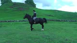 Charlie Jumping 1m
