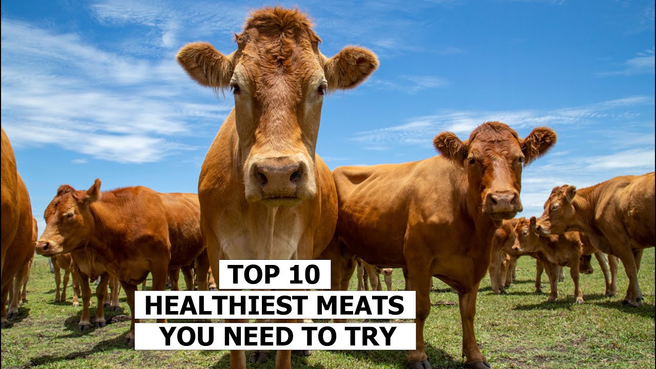 Meat Your Match Discovering the Top 10 Healthiest Meats for Your Diet! YouTube