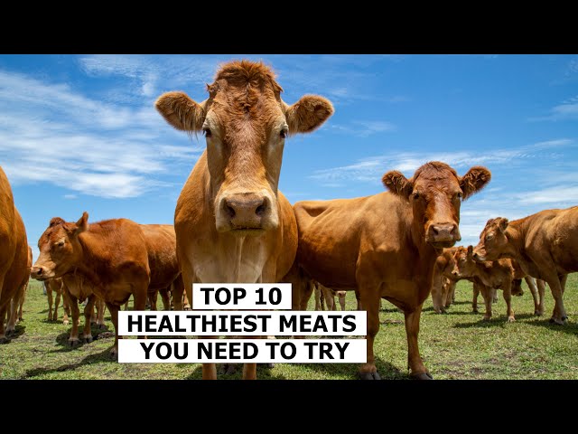 Meat Your Match: Discovering the Top 10 Healthiest Meats for Your Diet! class=