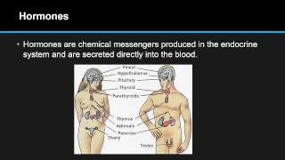 B61 Outline The Production And Function Of Hormones In The Body