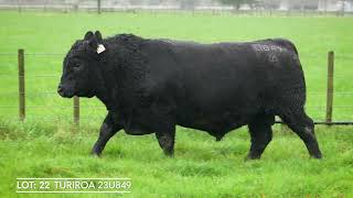 Lot 22 TURIROA 23U849