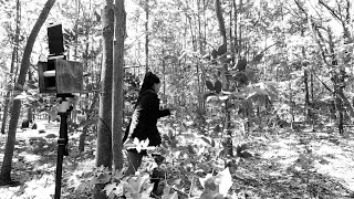 Pinhole Camera Self-Portraits and Parc nature les Forestiers-de-Saint-Lazare