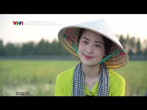Mô hình nuôi tôm, cá trên ruộng lúa