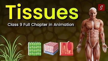 Tissues Class 9 full chapter (Animation) | Class 9 Science Chapter 6 | CBSE | NCERT