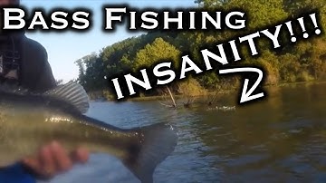 How To Catch Largemouth Bass During The Shad Spawn!!!