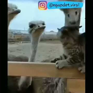 Story hukum karma😂
