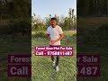 Forest View Plot For Sale In Dehradun Call 9758811487 Property Plots Plotsale Realestate Land Forest View Plot For Sale In Dehradun Call 9758811487 Property Plots Plotsale Realestate Land