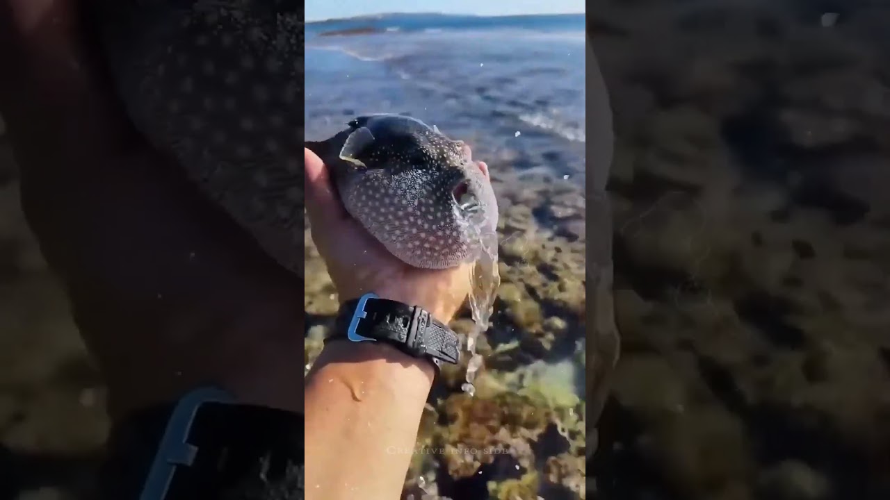 जरा सी गलती और सीधा समंदर से शमशान! 