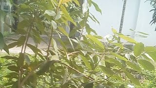 5 Earning Apps (Payment Prouv) screenshot 5