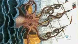 Giant Squid Legend Lives.avi