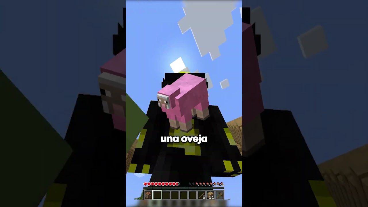 Minecraft, Pero No Puedo Ver El Color Rosa...