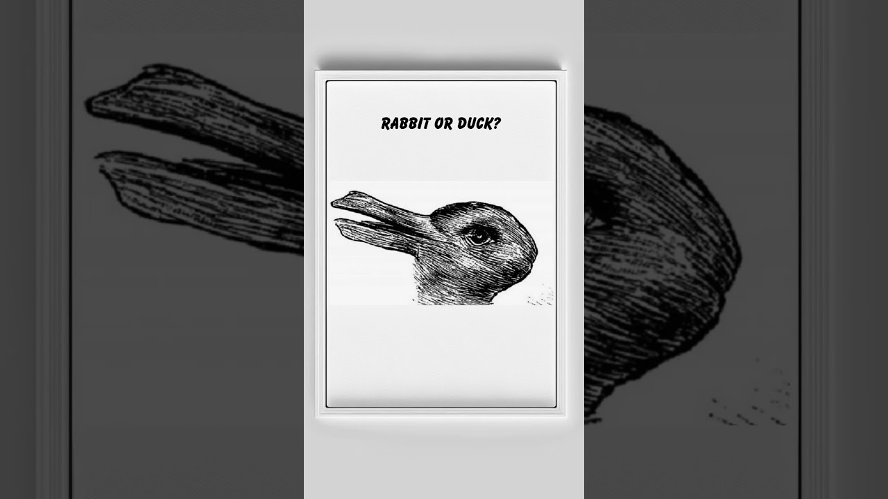 Кролик или утка? Оптическая иллюзия
