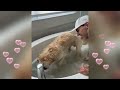 ه زمت رسميا