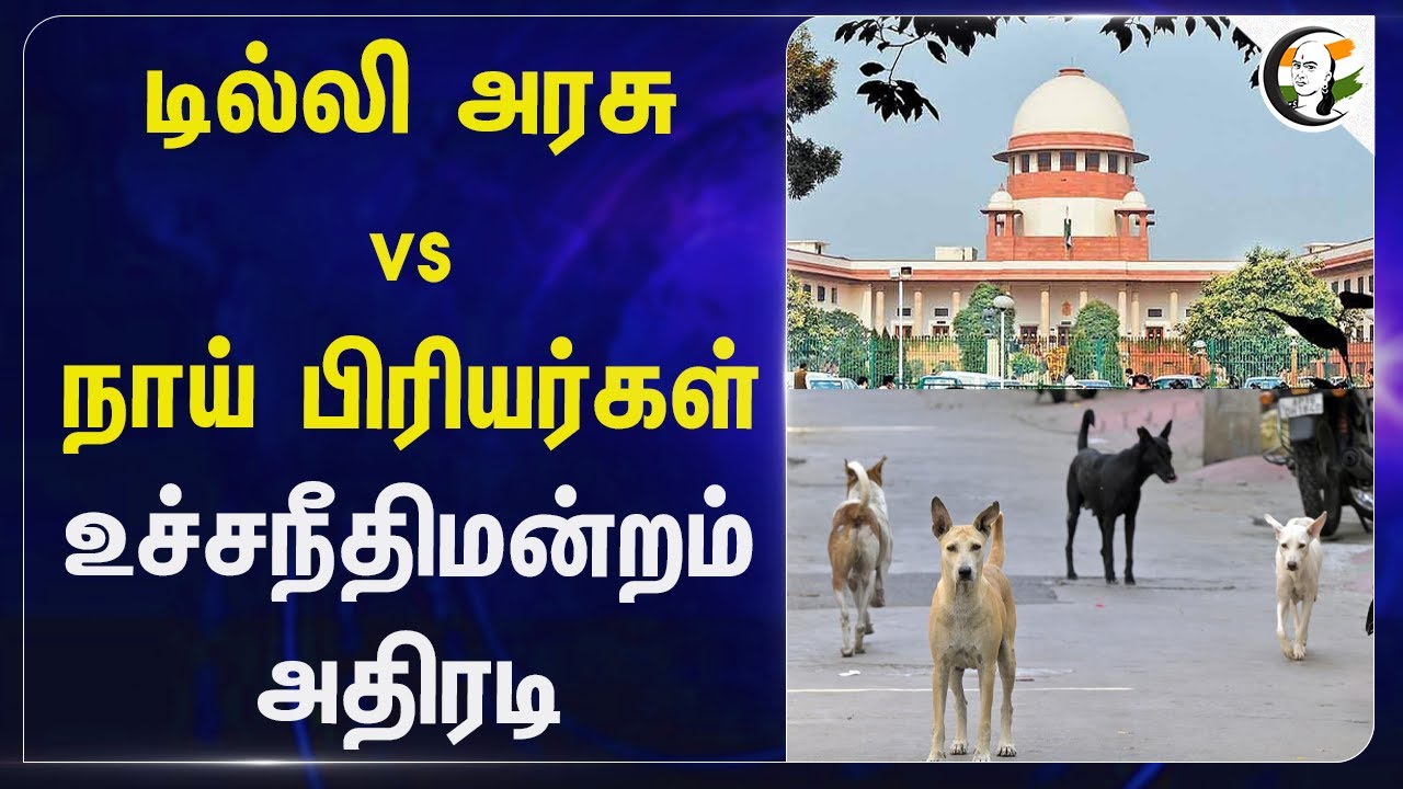 Delhi அரசு vs Dog பிரியர்கள் உச்சநீதிமன்றம் அதிரடி; Supreme Court