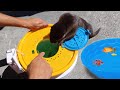 Training Baby Otter To Hunt For Food in Mini Pond!!