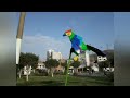 Aves hechas con material reciclable, por el artista @dni_art