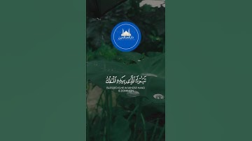 ✨ سورة المـلك هي المانعة المنجية، تنجي قارئها من عذاب القبر #سورة_الملك #قرآن #قران_كريم #quran