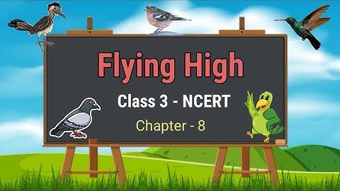 Flying high || Evs Class 3 CBSE || Chapter-8 NCERT || Solutions