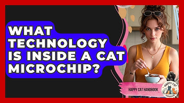 What Technology Is Inside A Cat Microchip? - Happy Cat Handbook