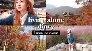 🇰🇷 LIVING ALONE IN KOREA. goodbye autumn/hwadam forest tour with friends | Babyjingko