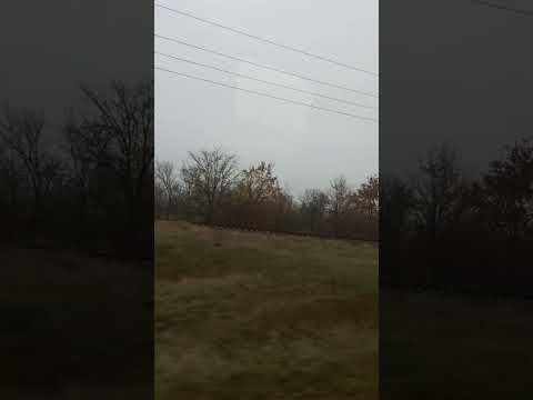 Железнодорожный мост. Дорога город - село Маркулешты. 02.11.24. Молдова.
