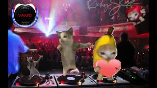 Happy Happy Happy Cat (Club Party) [Banana Cat Still Crying]