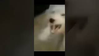 Sona Kadar Izle Şfet Şfetbeniöneçıkar Isavideolar